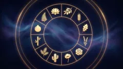 Twoja idealna roślina doniczkowa na podstawie znaku zodiaku