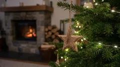 Zapobiegaj przedwczesnemu obumieraniu choinek dzięki tym prostym wskazówkom ekspertów