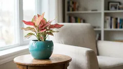 Efektowne, ale kapryśne rośliny doniczkowe: te 13 piękności potrzebuje więcej, niż myślisz