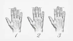 Test osobowości: długość twoich palców ujawnia te cechy charakteru